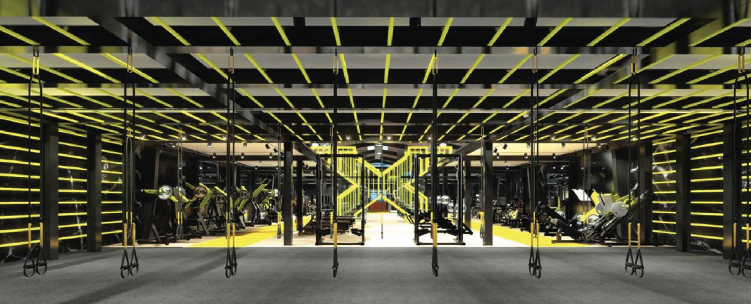 Forget everything you’ve known so far about fitness: Nextfit changes everything!